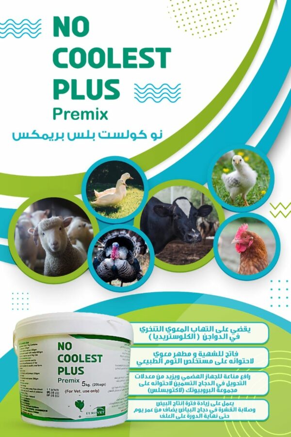 2 عبوة نو كولست بلس بريمكس - الصورة 3